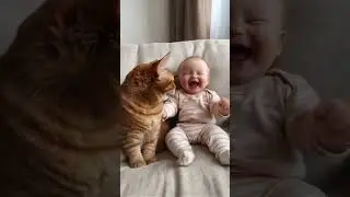Baby 🐥 and cat 😺 #viralvideo #animation  #ai  kid's Studio's