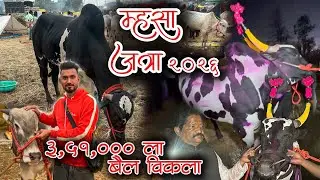 मूडबाड म्हसा जत्रा 2026 | 3,51,000 चा घेतला बैल