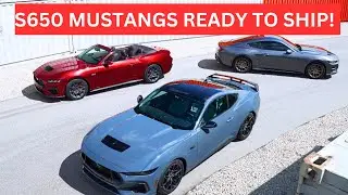 MUSTANG S650 2024 ГОДА ОТПРАВЛЯЕТСЯ НА ЭТОЙ НЕДЕЛЕ! БОЛЬШЕ БЕЗ ЗАДЕРЖЕК!