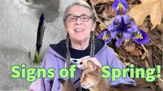 Journal with Me! #LittleGoldenBook Journal: A Sign of Spring! + Spring Journaling Plans!