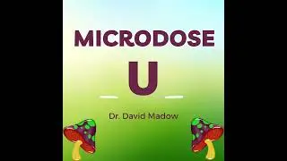 I Just Microdosed LSD