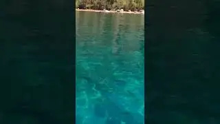 Kayaking Sand Harbor Lake Tahoe 🛶 #kayaking #sandharbor #laketahoe laketa