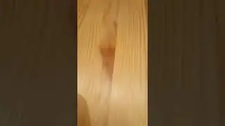 Full storage