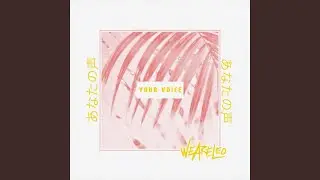 Your Voice