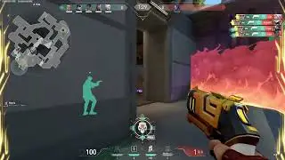 WORKING✅ Pryzm THE BEST Valorant TriggerBot
