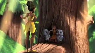 Disney Fairies Pixie Preview  Hide and Tink