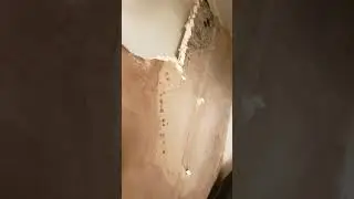 Bathroom mold in the ceiling