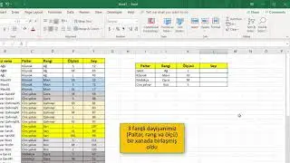 Excel 2019 dərsləri - 