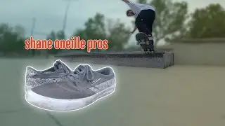 NIKE SHANE O'NEILL PRO SHOE REVIEW!!