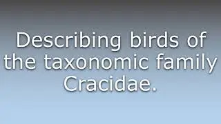 What does Cracid mean?