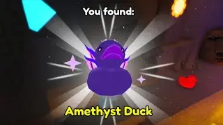 Find the Ducks 2 - Where to Find the Amethyst Duck (Roblox)