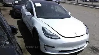 LIVE: Looking for an Electric Car to Buy at the Auction
