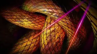 Catatonique, Cynhagui - Bocarac&aacute; (Sadissmo Remix)