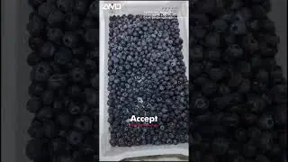 Blueberry Color Sorter with AMD LY