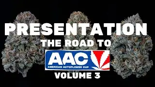 Presenting our 2026 AAC Entrees