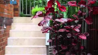 5 Scenic Blue Design Erskineville Testamonial