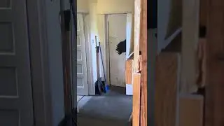 Paranormal Evidence? Unexplained Door Movement Caught on Video