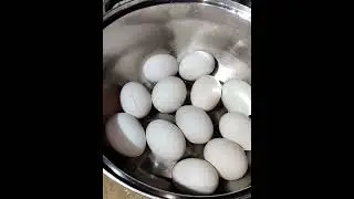 Making duck salted eggs part.2