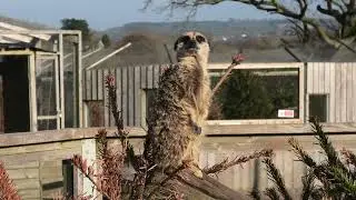 Axe Valley Wildlife Park (2nd March 2023)