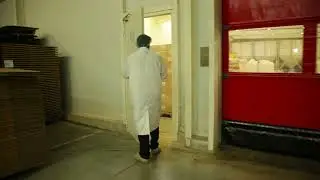 Alpha Nutrition