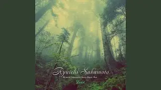 Put your hands up (Forest Music Box)
