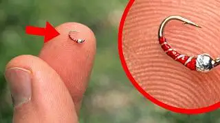 I Tested The World's Smallest Lure!
