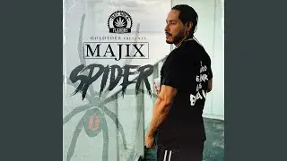 Spider