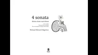Edgerton_4 Sonata, Kleine Aster nach Benn (#111, 2024)_2025 03 23 demo by Jack Adler-McKean