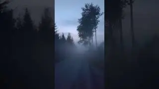 Walking in Fog #finland #nature #fog #walking #shorts
