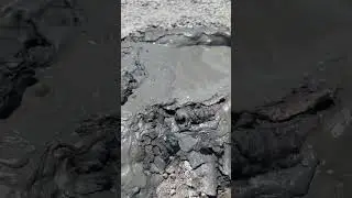 Signs of Allah| #nature #islam #quran #viral #viralvideo #video