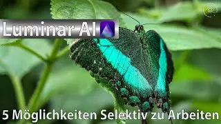 Luminar AI - 5 Möglichkeiten Selektiv zu Arbeiten