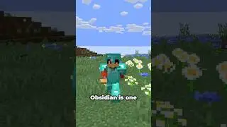 The only block that can stop endermen...