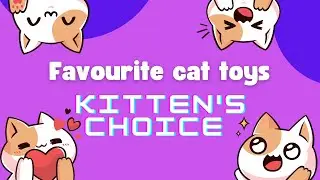 Kitten's favourite toys🐈| Best toys for cats and kittens| best cat toys on Amazon| zilazon3