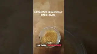 Ammannitura e Preparazione di Tele o Tavole su cui Dipingere
