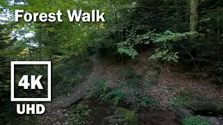 Virtual Walk Forest Hike | 4K UHD Stereo Audio | no Music | 17