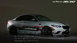 TWS Motorsport RS317