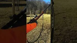 Winchester model 88 #shooting #guns #old