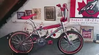 Bike Check:  1984 Skyway T/A
