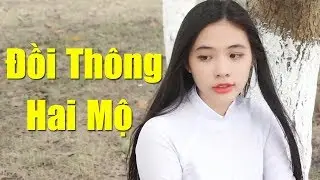 Đồi Thông Hai Mộ - Thanh Ngân | Nhạc Vàng Bolero Xưa Hay Ngây Ngất MV HD
