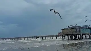 Port Aransas Beach as Hurricane Berly approaches the Texas Gulf coast