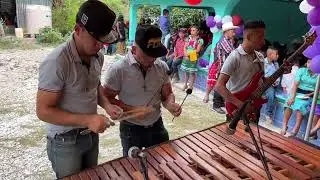 Suena el primer mix de la marimba perlas de Guatemala 🇬🇹 apoyémoos la marimba