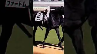 cheval en forme 😉