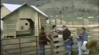 Lassie promo, 1997