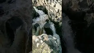 high force #waterfall #flow #summer #swimming #swim #viral #trending #follow #uk #hot #hike