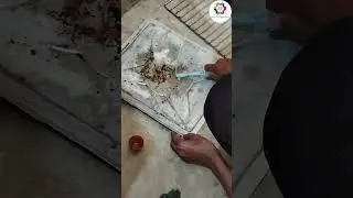 Philips OTG Oven No Heating issue Resolved by our Team || Roy Refrigeration