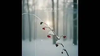 Striwoods - Winter Bloom