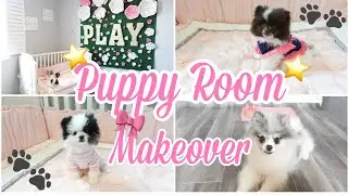 CUTE PUPPY ROOM / PUPPY ROOM MAKEOVER/ CUTE PUPPIES / POMERANIAN PUPPIES