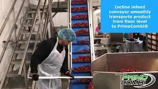 PrimoCombi&reg; multihead weigher with Swifty Bagger&reg;1200 - Packaging Crawfish