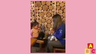 Etapa lingüística (Nivel pragmático tips y recomendaciones)