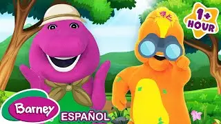 Buen Viaje Mariposa | Animales para Niños | Barney | 9 Story Kids en Español